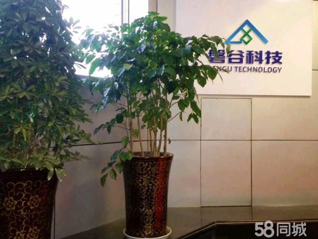 四川鑫磐谷网络科技